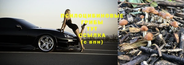 таблы Армянск