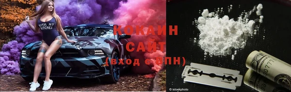 СК Арсеньев
