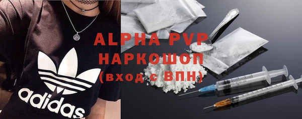 амф Аркадак